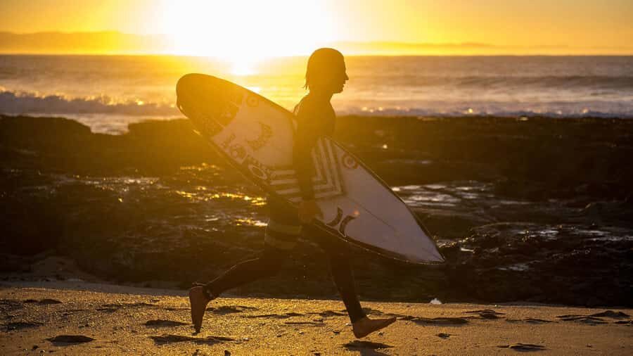From Cape Town: 5-Day Best of Garden Route and Addo Safari - Who this trip fits best (and who should skip it)