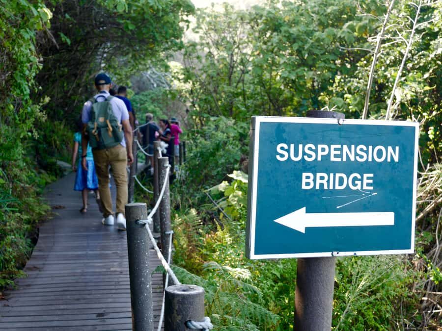 From Cape Town: 5-Day Best of Garden Route and Addo Safari - How the 5-day route really feels: pickups, pace, and reversing days