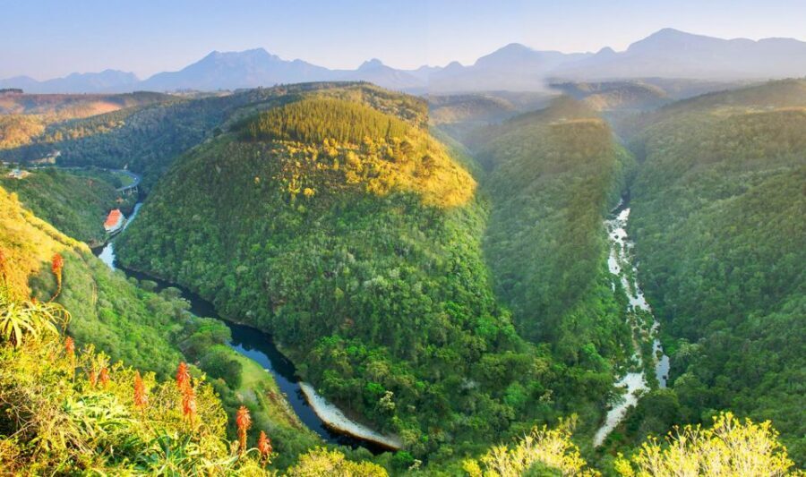 From Cape Town: 5-Day Best of Garden Route and Addo Safari - Botlierskop Private Game Reserve on Day 5: the 4x4 safari finale