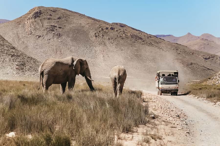From Cape Town: Big Five Game Reserve with Lunch - Lunch at the lodge: a real break before your safari continues