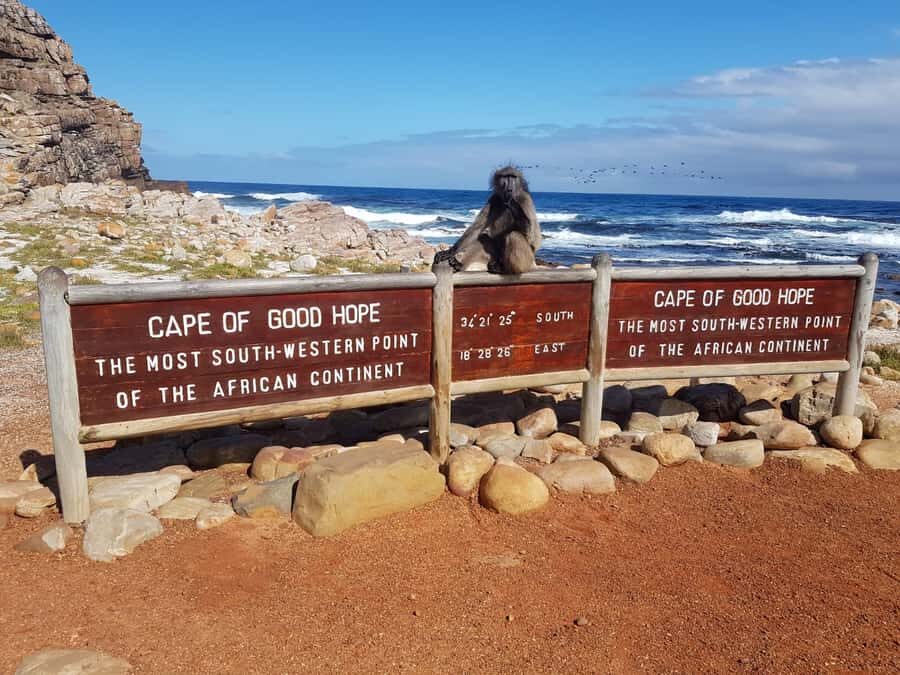 From Cape Town: Cape Point and Boulders Beach Full-Day Tour - Boulders Beach and the penguins: up-close, calm, and genuinely fun