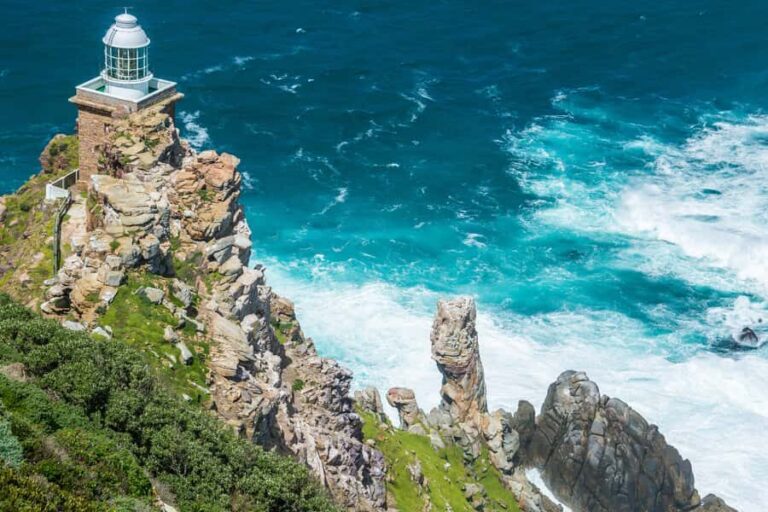 From Cape Town: Cape Point and Boulders Beach Full-Day Tour - The bus ride: comfort first, but don’t trust Wi-Fi like it’s home