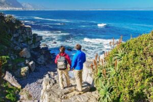 From Cape Town: Full Day Guided Hermanus and Whale Tour - Price and value: what $51.47 gets you in the real world