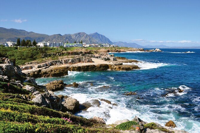 From Cape Town: Full Day Guided Hermanus and Whale Tour - Peregrine Farm Stall: food-first Cape flavor between sea and wine