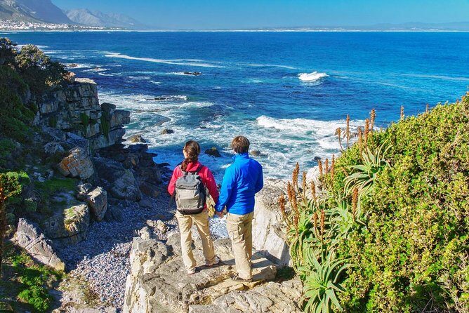 From Cape Town: Full Day Guided Hermanus and Whale Tour - Price and value: what $51.47 gets you in the real world