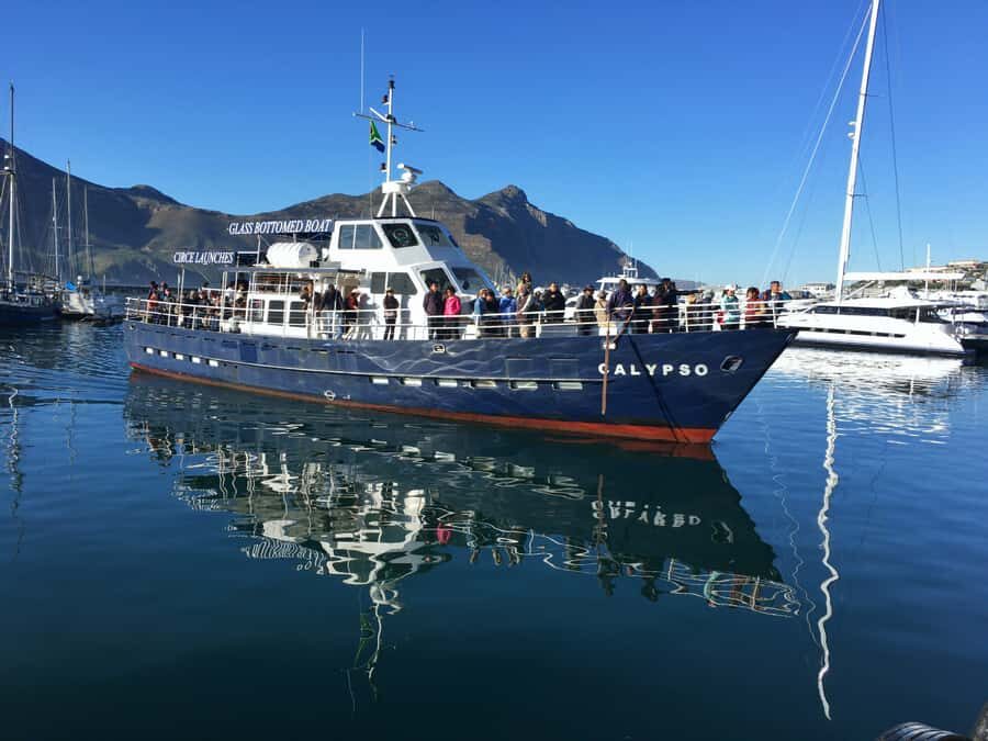 From Cape Town: Glass-Bottom Boat Seal Watching Tour - From Hout Bay Harbour to seal island in 45 minutes