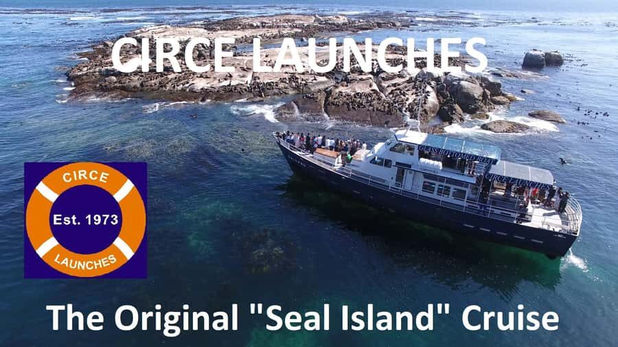 From Cape Town: Glass-Bottom Boat Seal Watching Tour - Cruising past history: why those fortifications are more than trivia