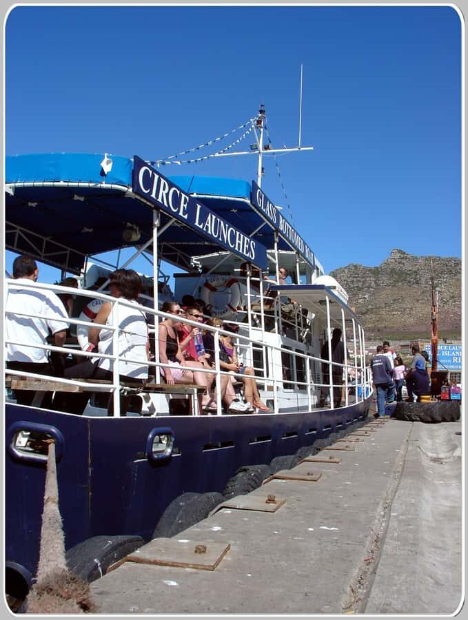 From Cape Town: Glass-Bottom Boat Seal Watching Tour - Value for money: is $8 worth it?