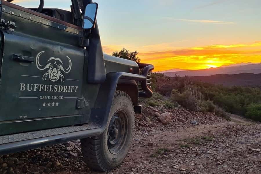 From Cape Town: South African Wildlife and Safari 2-Day Tour - Two Reserves, One Tight Schedule: what you’re really signing up for