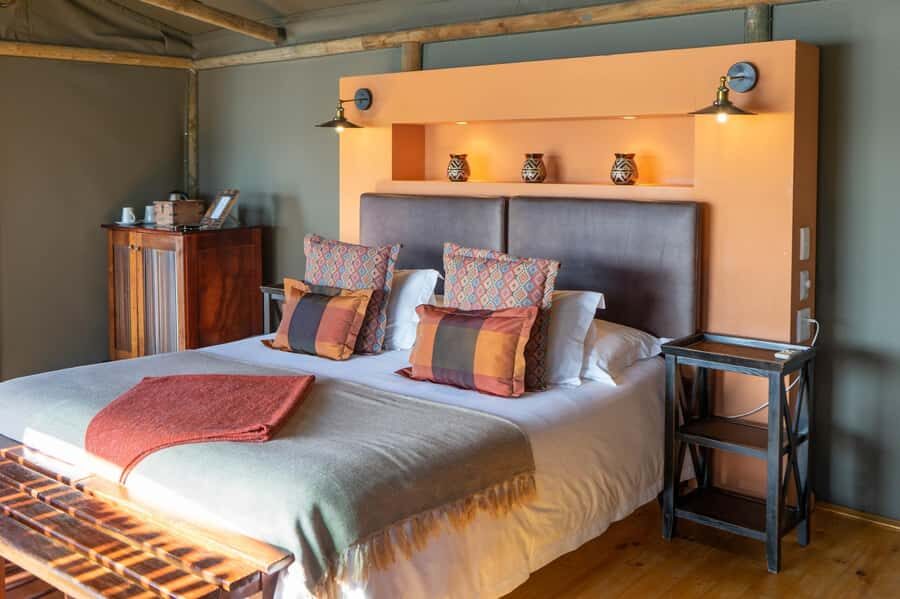 From Cape Town: South African Wildlife and Safari 2-Day Tour - Oudtshoorn on your own evening: ostrich capital time in the Klein Karoo