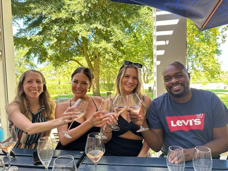 From Cape Town: Stellenbosch Four Estate Full-Day Wine Tour - Four Estates in One Day: The Rhythm That Helps You Compare Wines