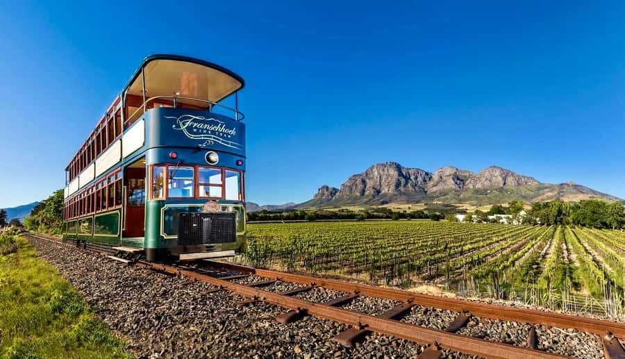 From Cape Town: Winelands Full Day Tour and Wine Tasting - Key takeaways before you go
