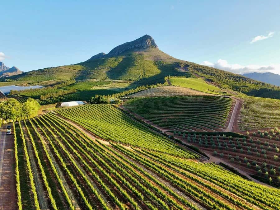 From Cape Town: Winelands Full Day Tour and Wine Tasting - From Cape Town to the Winelands: a scenery switch you’ll feel right away