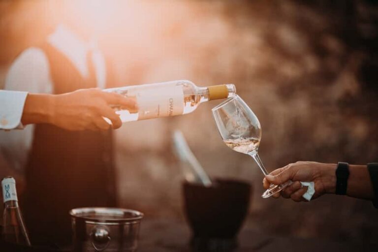 From Cape Town: Winelands Full Day Tour and Wine Tasting - Stellenbosch: wine cellar tour, tastings, and real town time