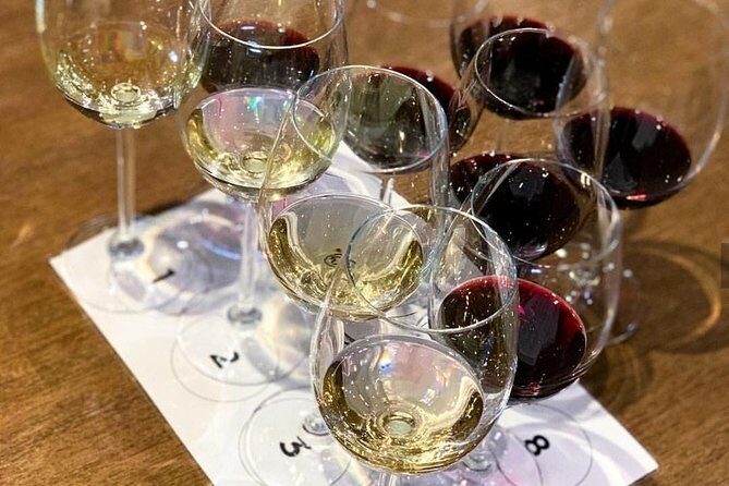 From CapeTown: Stellenbosch Half Day Wine Tour - How the 5-hour schedule feels in real life