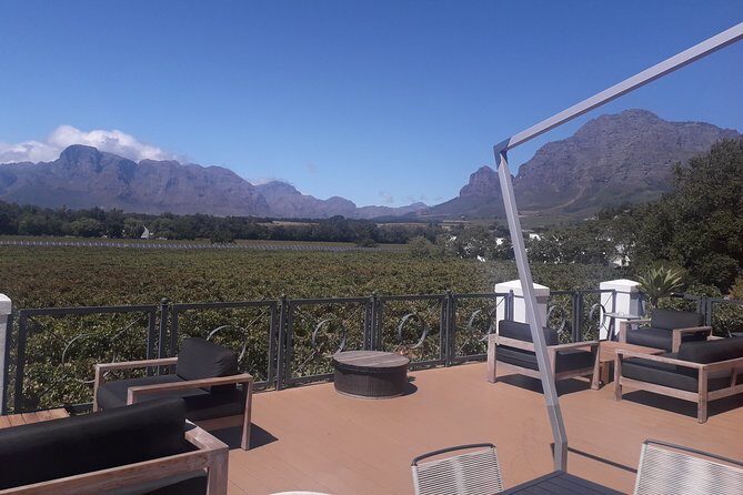 From CapeTown: Stellenbosch Half Day Wine Tour - Guides like Marco and Shane can make or break the day