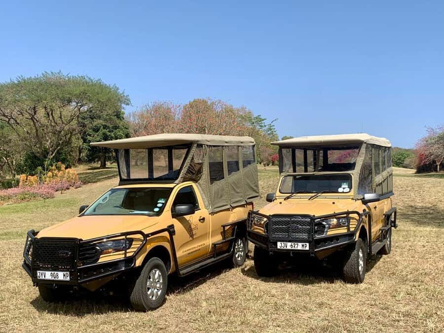 From Hazyview: Kruger National Park Full-Day Safari - Key highlights worth circling