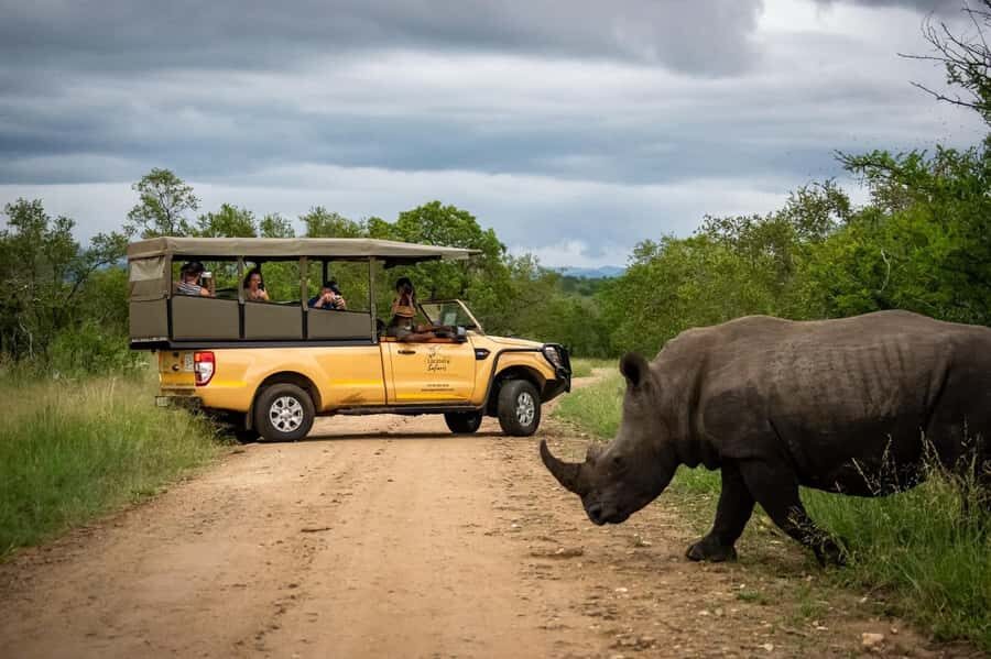 From Hazyview: Kruger National Park Full-Day Safari - Kruger From Hazyview: what a guided full day really buys you