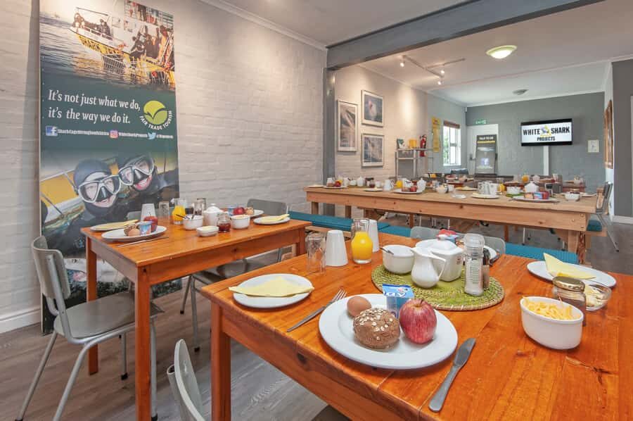 From Hermanus or Cape Town: Shark Cage Diving Experience - Meals, showers, and post-trip comfort that actually help