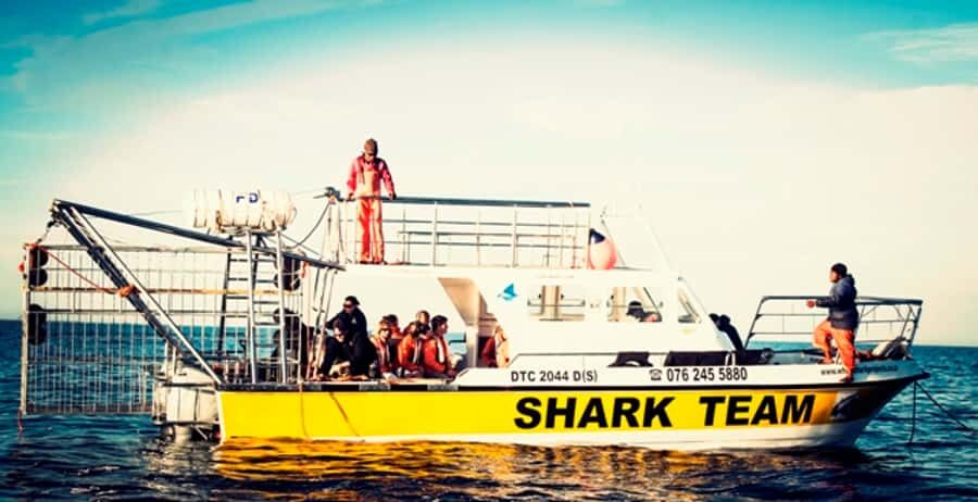From Hermanus or Cape Town: Shark Cage Diving Experience - Breakfast at the Lodge and the safety-first shark briefing