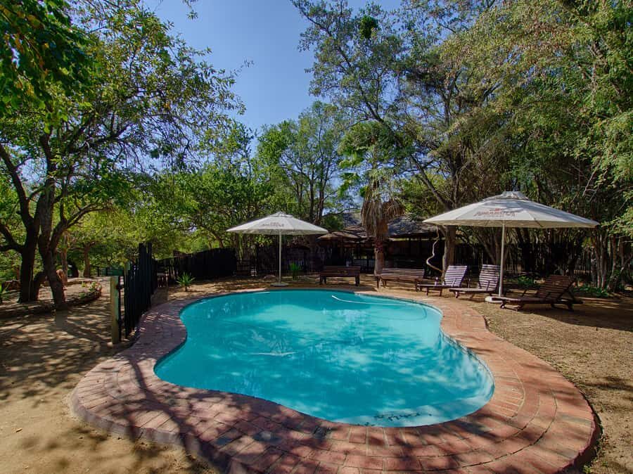 From Johannesburg: 3-Day Budget Tent Kruger Park Safari - FAQ