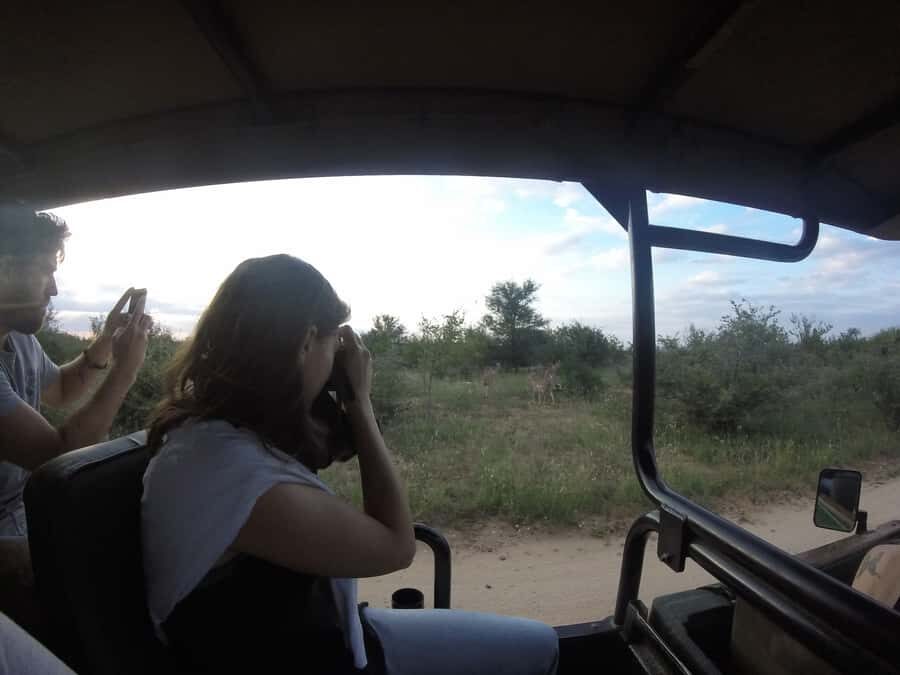 From Johannesburg: 3-Day Budget Tent Kruger Park Safari - From Johannesburg to Kruger: why this trip fits real time