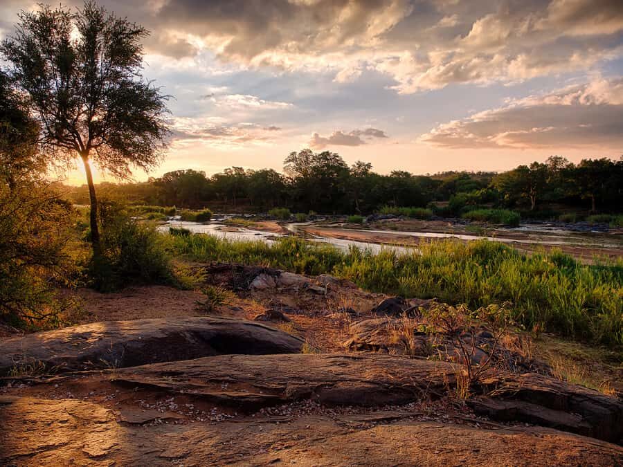 From Johannesburg: 3-Day Budget Tent Kruger Park Safari - The full Kruger National Park day from Orpen: where you’ll spend your best wildlife hours