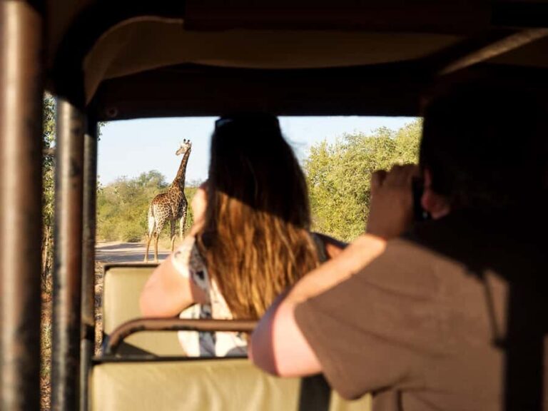From Johannesburg: 3-Day Budget Tent Kruger Park Safari - Tremisana pickup, Balule sunset drive, and an African-bush BBQ meal