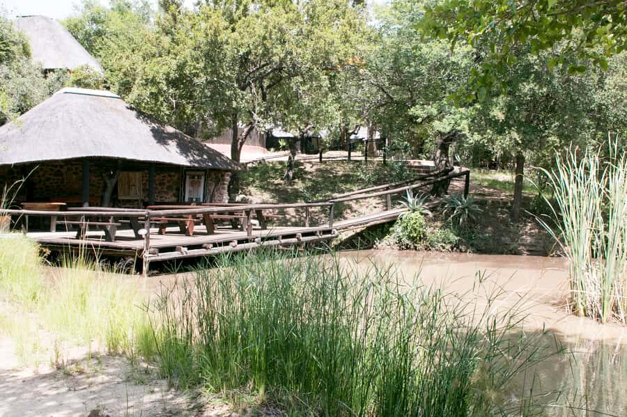 From Johannesburg: 3-Day Budget Tent Kruger Park Safari - Should you book this 3-day budget tent Kruger safari?