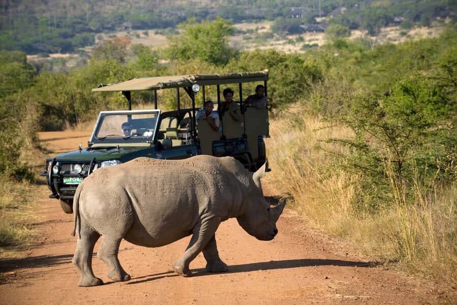 From Johannesburg: Pilanesberg Nature Reserve Game Safari - Key things you’ll notice right away