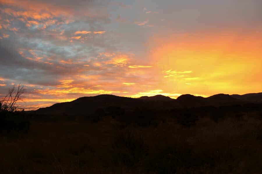 From Johannesburg: Pilanesberg Nature Reserve Game Safari - Lunch Time by a Water Hole: Rest, Refuel, and Keep Watching