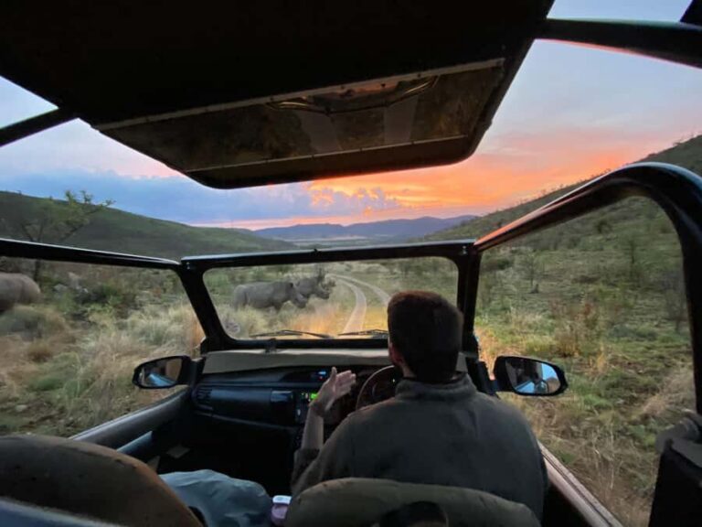 From Johannesburg: Pilanesberg Nature Reserve Game Safari - The Early-Morning Pickup and the Long Road Out of Johannesburg