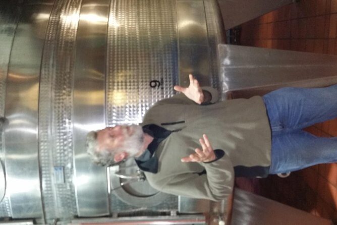 Full Day Afrivista Wine Tours from Stellenbosch - Kanonkop: A Cellar Tour and Tasting That Sets the Tone