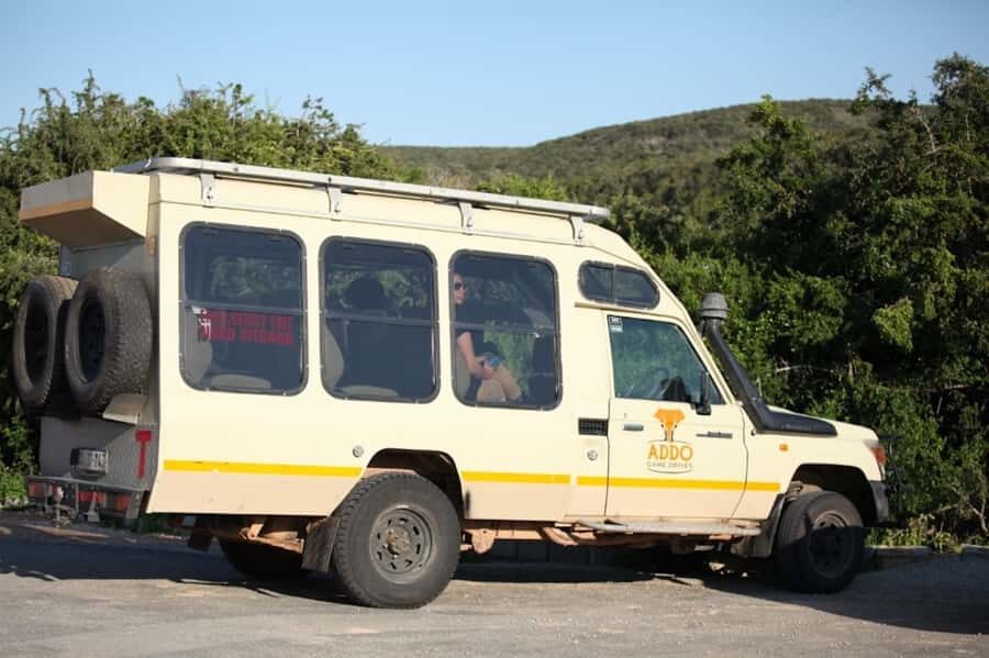 Full-Day All Inclusive Safari with Traditional Braai Lunch - Morning game drive: your best shot at elephants, zebra, and lions