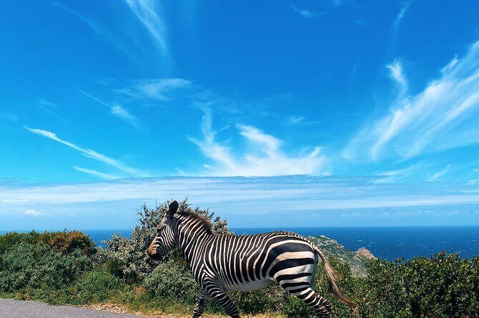 Full Day Cape Peninsula Tour in Private Car - Muizenberg: colorful huts and a surfer-style break