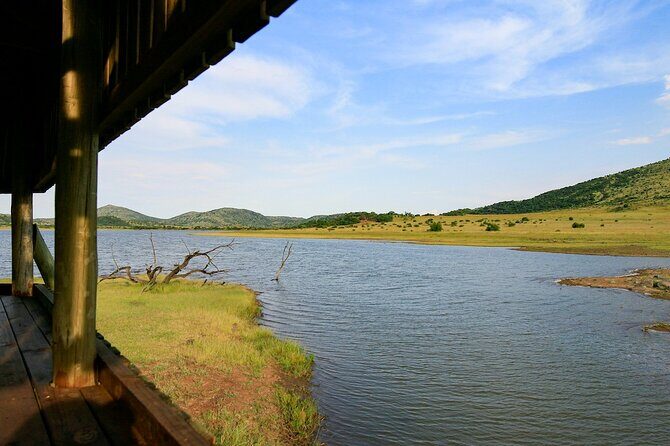 Full Day Pilanesberg Experience in Open Vehicle - Morning Open 4x4 Safari in Pilanesberg: Where the Window Seats Matter