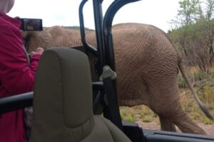 Full Day Pilanesberg Experience in Open Vehicle - Lunch at Pilanesberg Rest Camps: Included, Useful, and Not Always Fancy