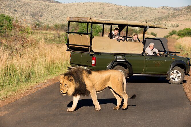 Full Day Pilanesberg Experience in Open Vehicle - Park Roads, Vehicle Comfort, and Photo Reality Checks