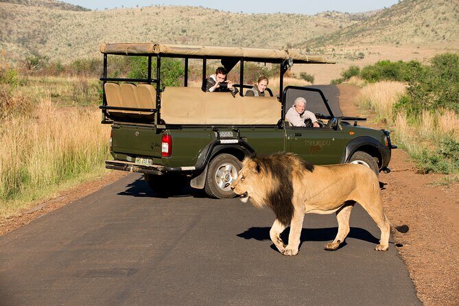 Full Day Pilanesberg Experience in Open Vehicle - Onboard WiFi and Small-Group Energy: Handy Extras That Matter