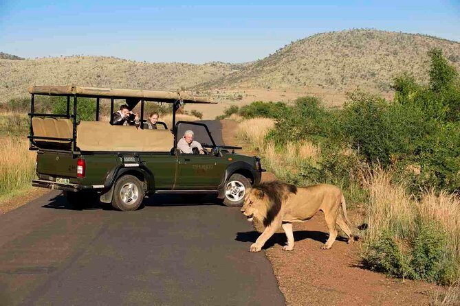 Full Day Ultimate Pilanesberg National Park Safari from Johannesburg or Pretoria - Lunch at the Pilanesberg Center waterhole: good food, smarter spotting