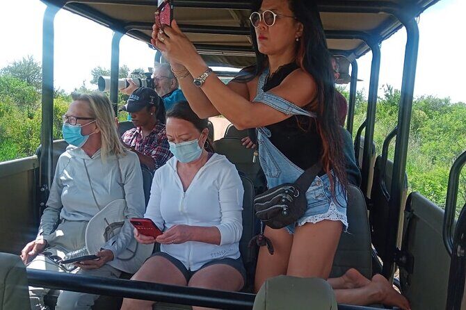 Full Day Ultimate Pilanesberg National Park Safari from Johannesburg or Pretoria - Getting the best views from open safari vehicles (and what to watch for)