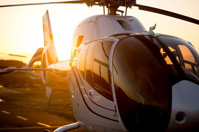 Full Peninsula Scenic Helicopter Flight with Free Boat Cruise - Price and value: why it costs $531.14 and how to judge it