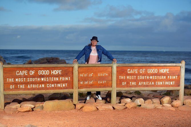 Half Day Boulders Penguins and Cape Point Small Group Tour - Boulders Beach Penguin Colony: See the Penguins, Plan Around What’s Not Guaranteed