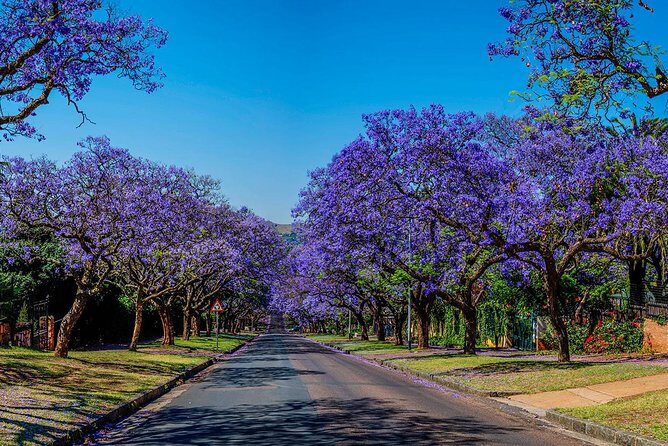 Half Day Pretoria City Tour from Johannesburg or Pretoria - Pretoria in one afternoon: what this half-day tour gets right