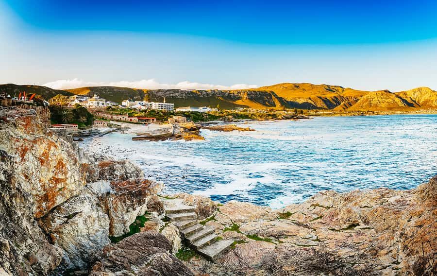 Hermanus: Whale and Dolphin Watching Boat Trip - Children, Life Jackets, and Motion-Sickness Reality