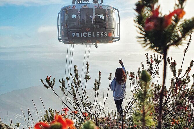 Hike Table Mountain with a Guide - Choose Route - Price and Value: Is This Worth $65?