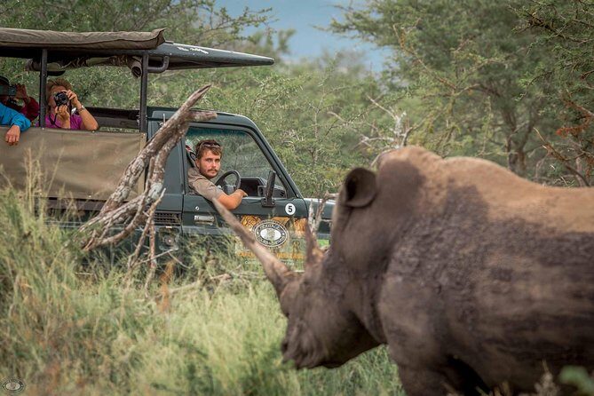 Hluhluwe-Imfolozi Park Full Day Big 5 Safari Tour - Key Things I’d Pay Attention To