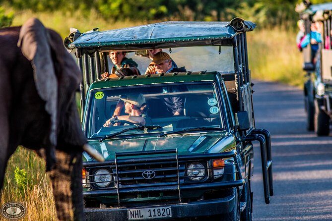 Hluhluwe-Imfolozi Park Full Day Big 5 Safari Tour - Nyalazi Gate and the First Drive: Getting Oriented Fast