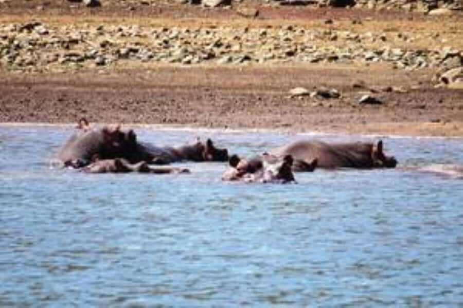 Hoedspruit: Blyde River Canyon Dam Boat Cruise - A 90-minute Blyde Dam cruise with Three Rondawels from the water