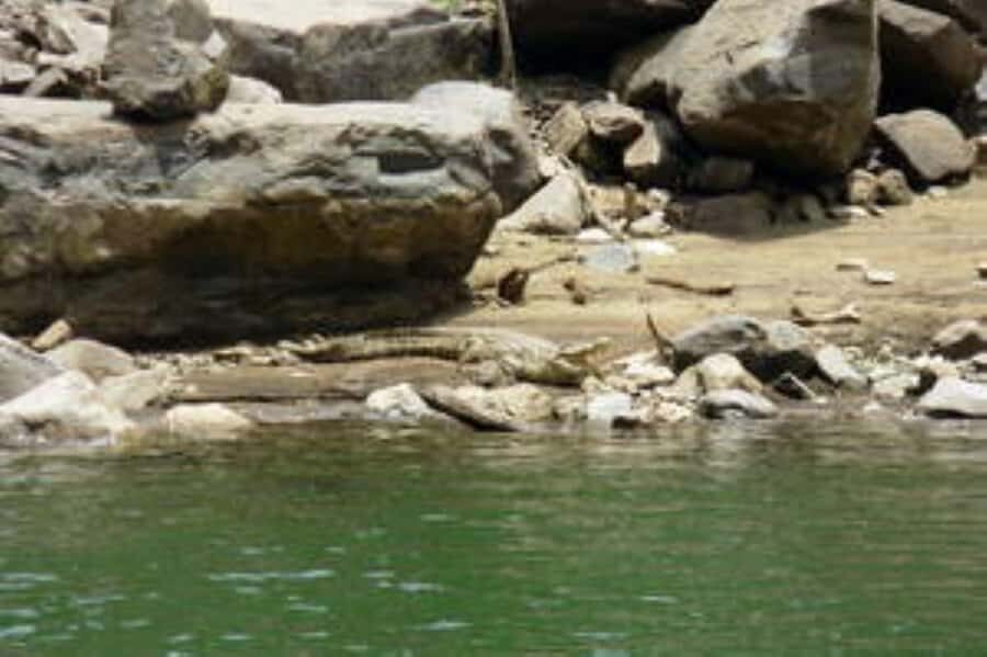 Hoedspruit: Blyde River Canyon Dam Boat Cruise - How the ride works: safety briefing, scenic cruising, wildlife time